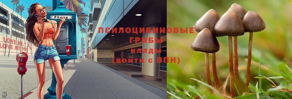 ECSTASY Богородицк