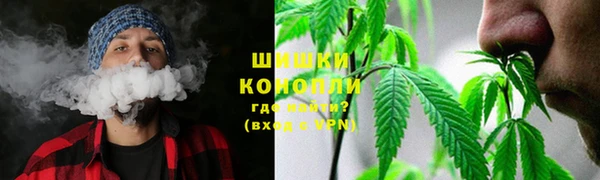 ECSTASY Богородицк