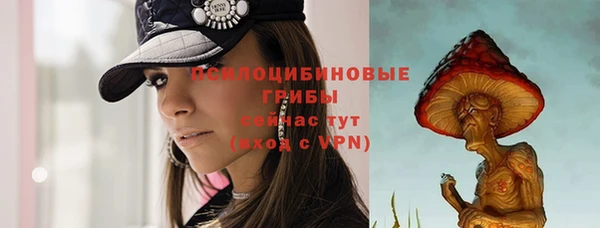 ECSTASY Богородицк