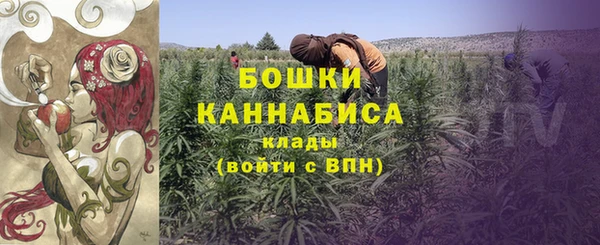 ECSTASY Богородицк