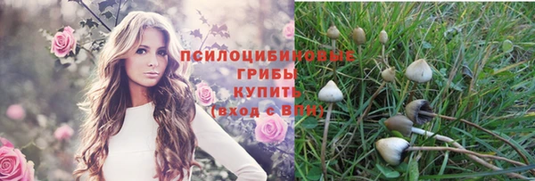 бутират Богородск