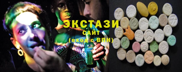 ECSTASY Богородицк