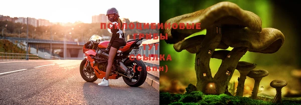 хмурый Беломорск