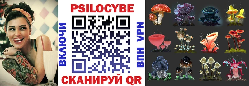 Галлюциногенные грибы Psilocybe  hydra как зайти  Яранск  где продают наркотики 